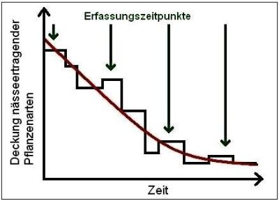 Beispiel: Ökologisches Gutachten